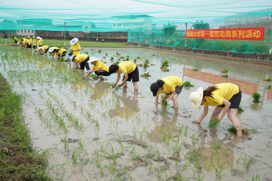 文件名称:image6.png原图大小:NaNGB