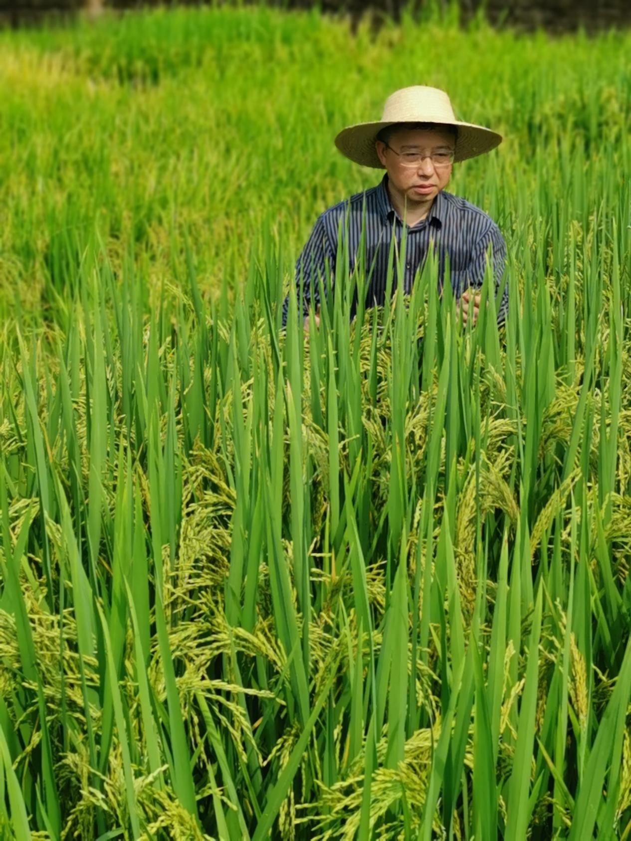 文件名称:image4.jpeg原图大小:NaNGB