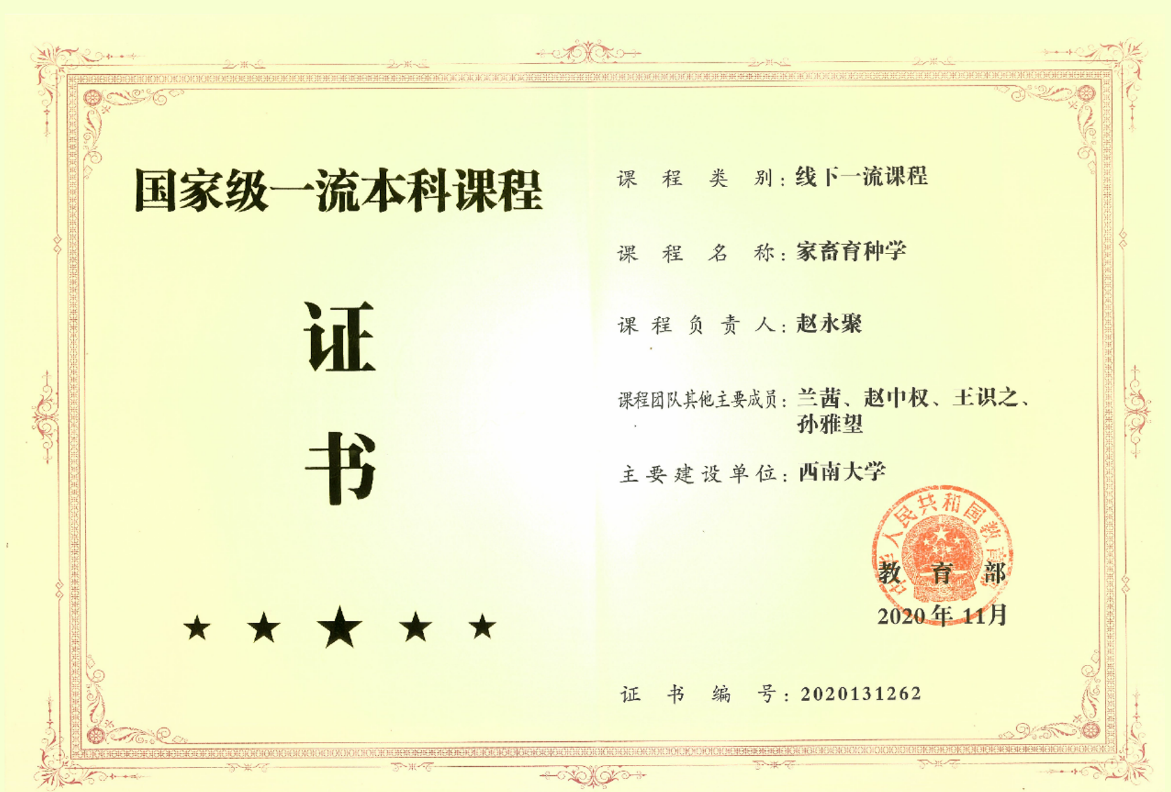 文件名称:image3.png原图大小:NaNGB