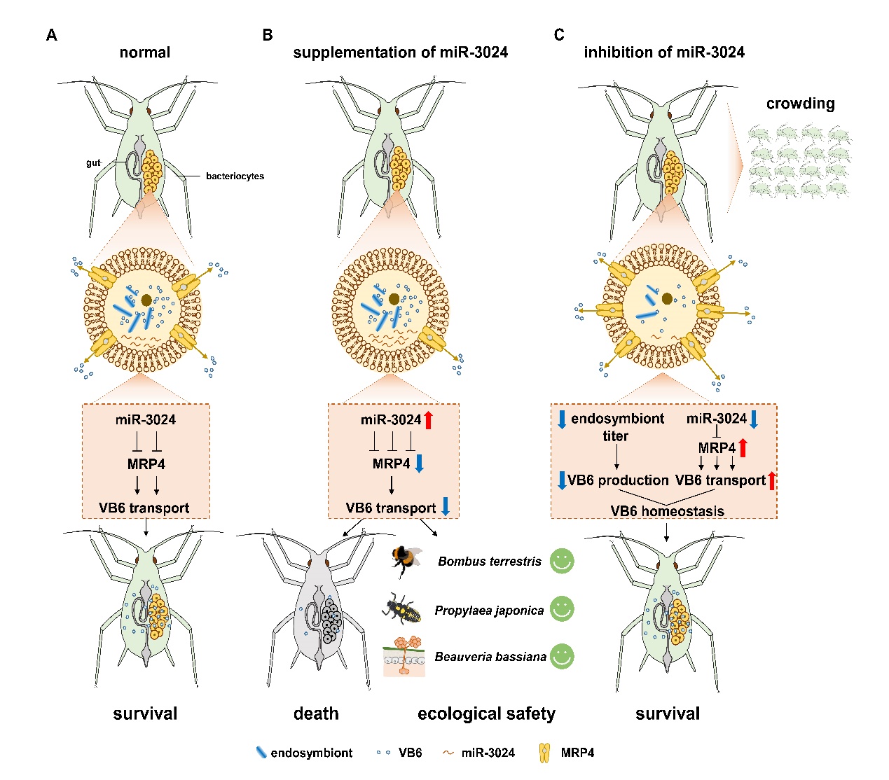 文件名称:image1.jpeg原图大小:NaNGB