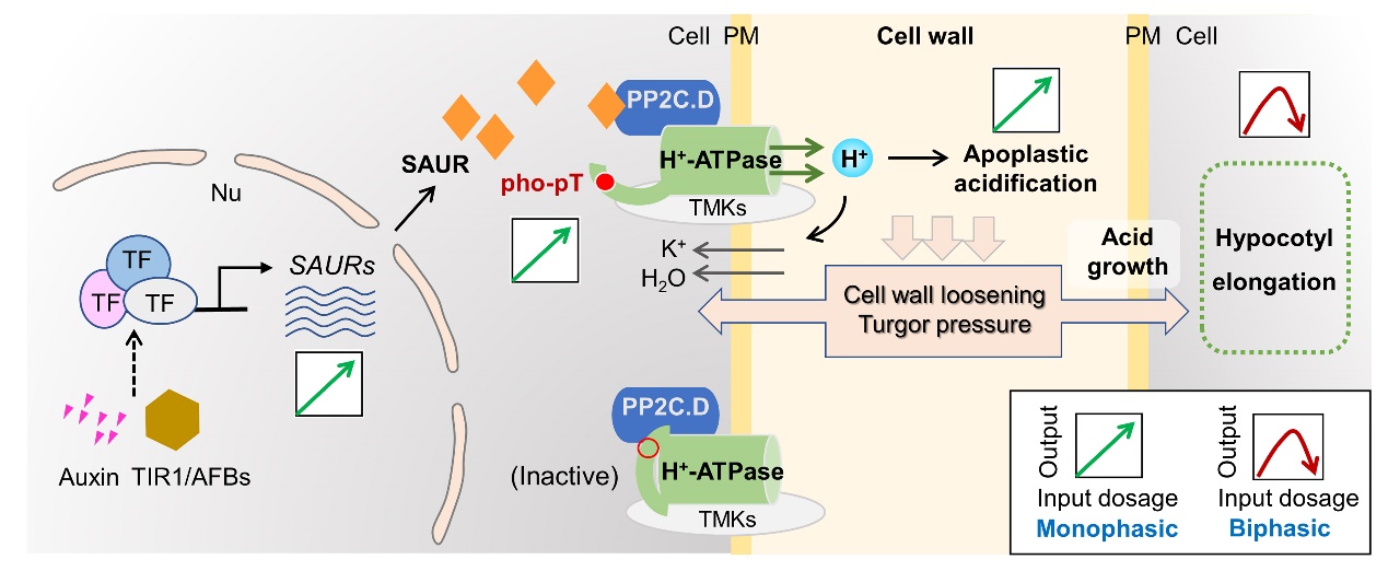 文件名称:image1.jpeg原图大小:NaNGB