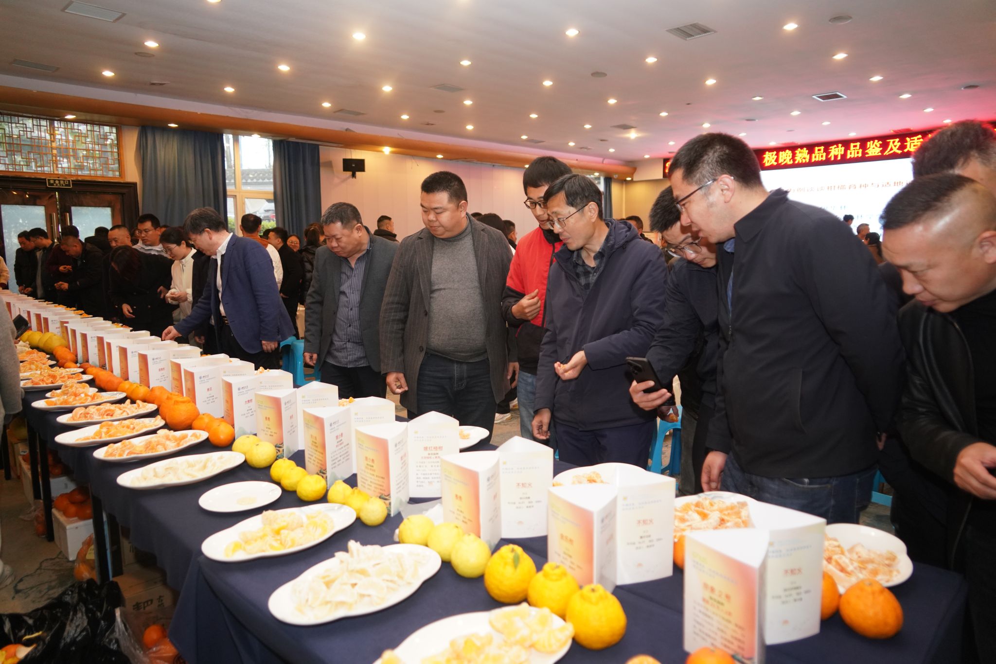 文件名称:image5.jpeg原图大小:NaNGB