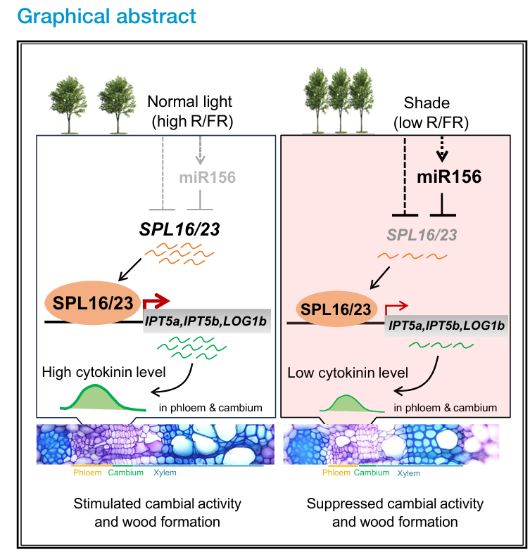 文件名称:image3.png原图大小:NaNGB