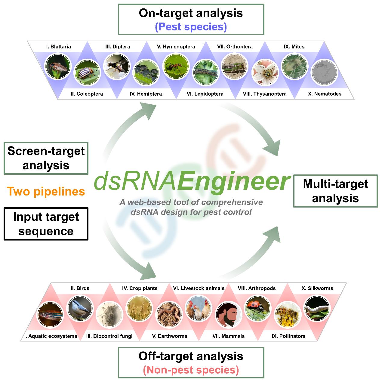 文件名称:王进军教授论文图.jpg原图大小:0.18MB