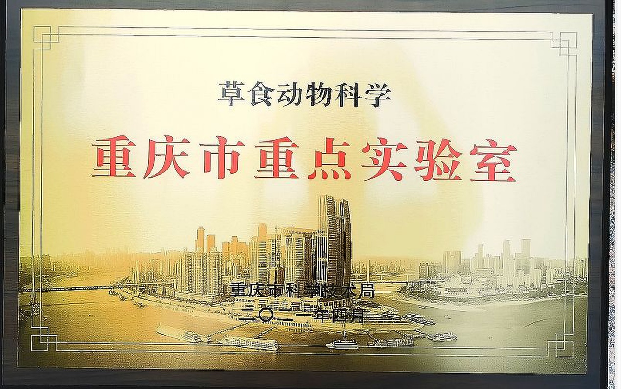 文件名称:image6.jpeg原图大小:NaNGB