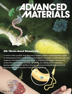 图1 论文封面.png