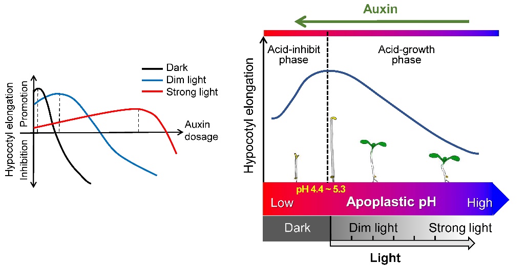 文件名称:image2.jpeg原图大小:NaNGB