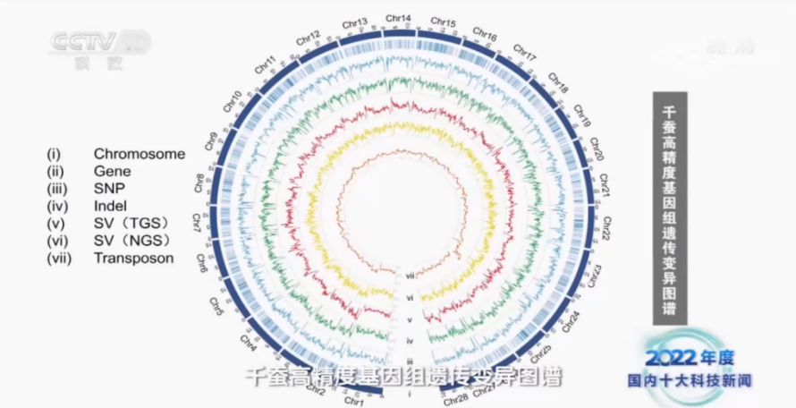 文件名称:image4.png原图大小:NaNGB