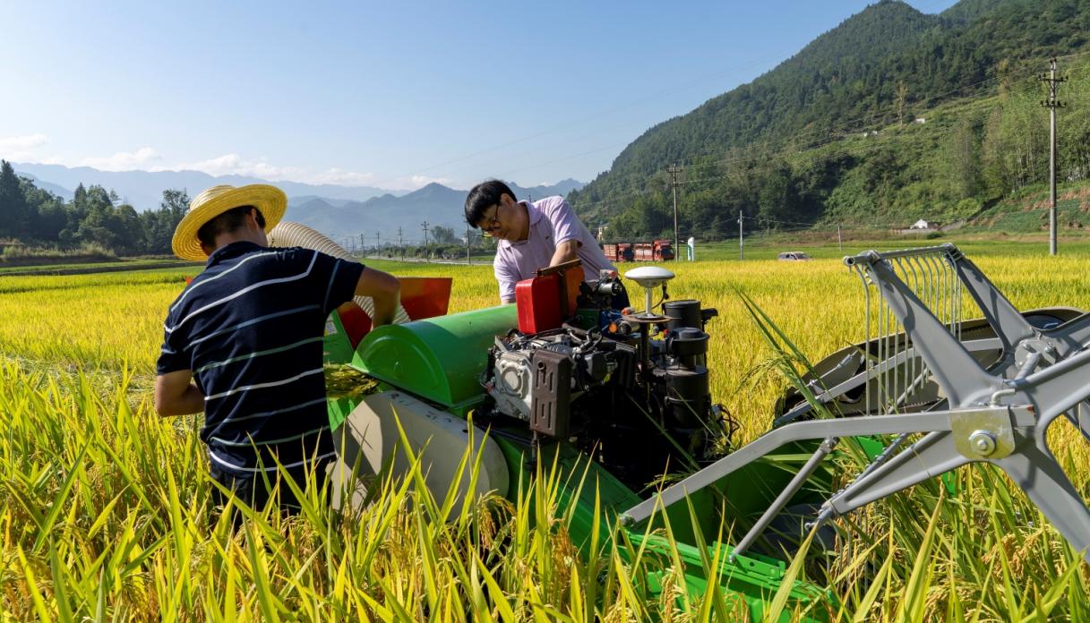 文件名称:image6.jpeg原图大小:NaNGB